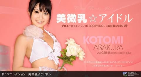 美微乳★偶像 _1pondo_110511_210